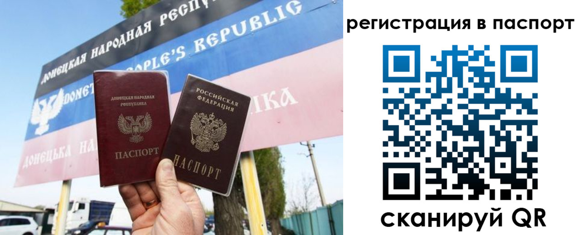 прописка поиск в Ростове
